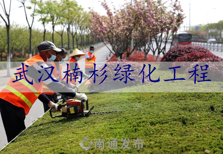 武汉楠杉绿化工程