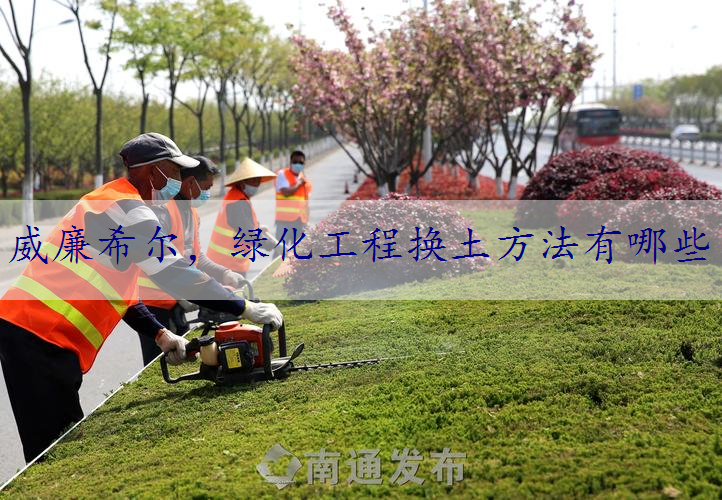 绿化工程换土方法有哪些
