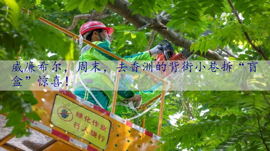 周末，去香洲的背街小巷拆“盲盒”惊喜！