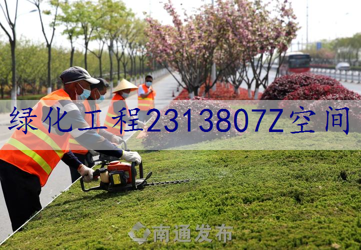 绿化工程2313807Z空间