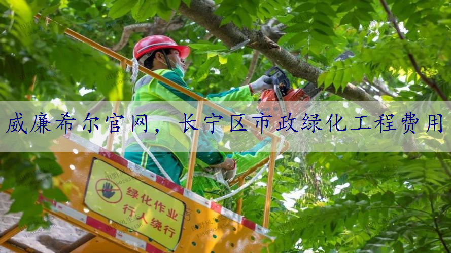 长宁区市政绿化工程费用